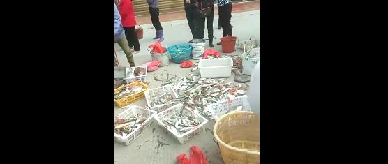 7吨碳九泄漏,40万泉港人在无声中消逝...... 24 43vifglt68