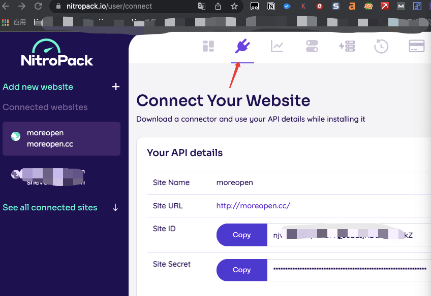 NitroPack: 傻瓜式提升Wordpress网站速度 19 Nitropack-setup